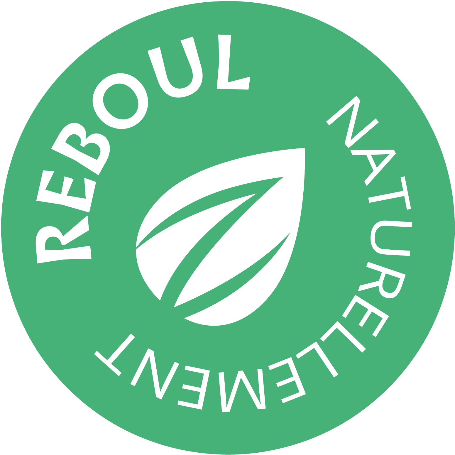 LOGO-REBOUL-VERT